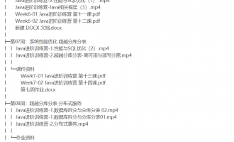 Java进阶训练营共20G
